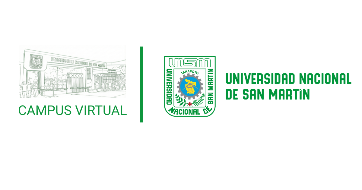 Campus Virtual UNSM